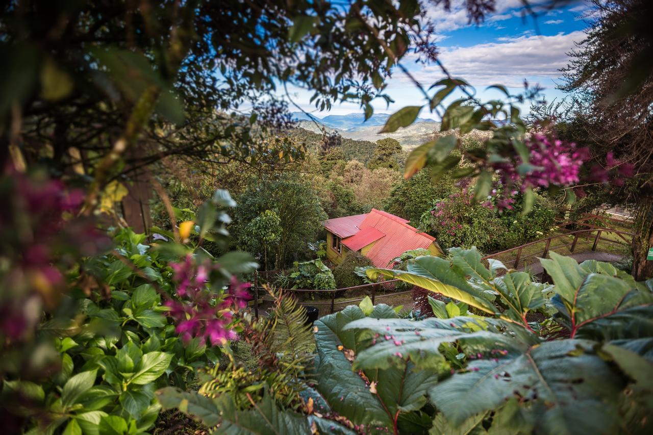 Paraiso Quetzal Lodge Tres de Junio المظهر الخارجي الصورة