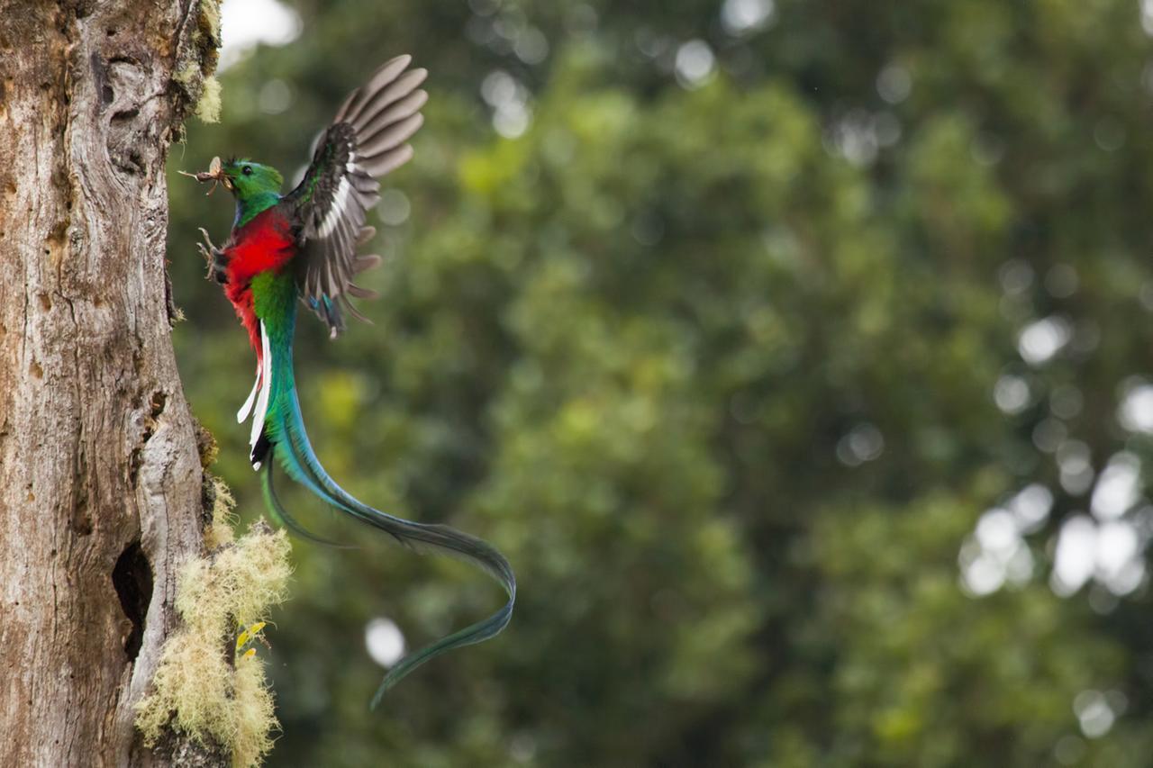 Paraiso Quetzal Lodge Tres de Junio المظهر الخارجي الصورة