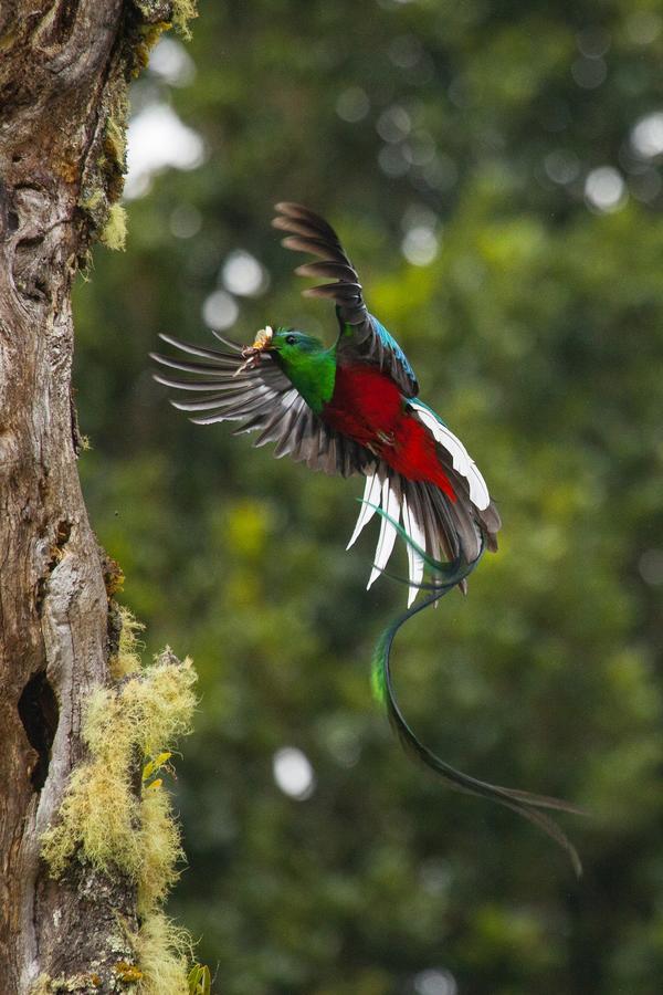 Paraiso Quetzal Lodge Tres de Junio المظهر الخارجي الصورة